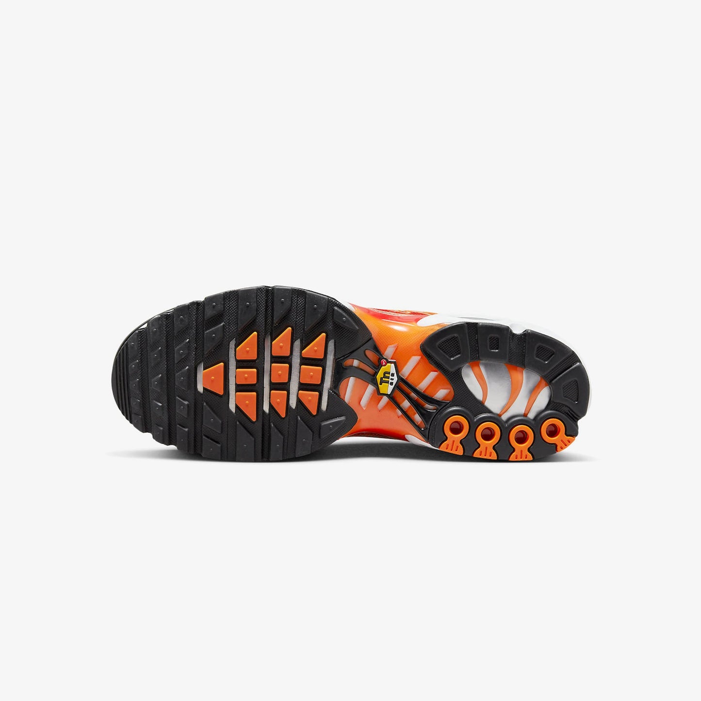 NIKE AIR MAX PLUS TN "LIGHT PHOTOGRAPHY"