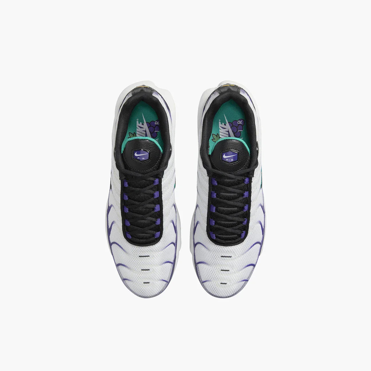 NIKE AIR MAX PLUS TN "GRAPE"